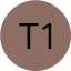 Teacher 1
