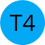 Teacher 4